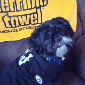 Meet your Posher, Marilyn uncapher